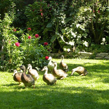 Appartamento La Ferme De Marie Rangen Esterno foto