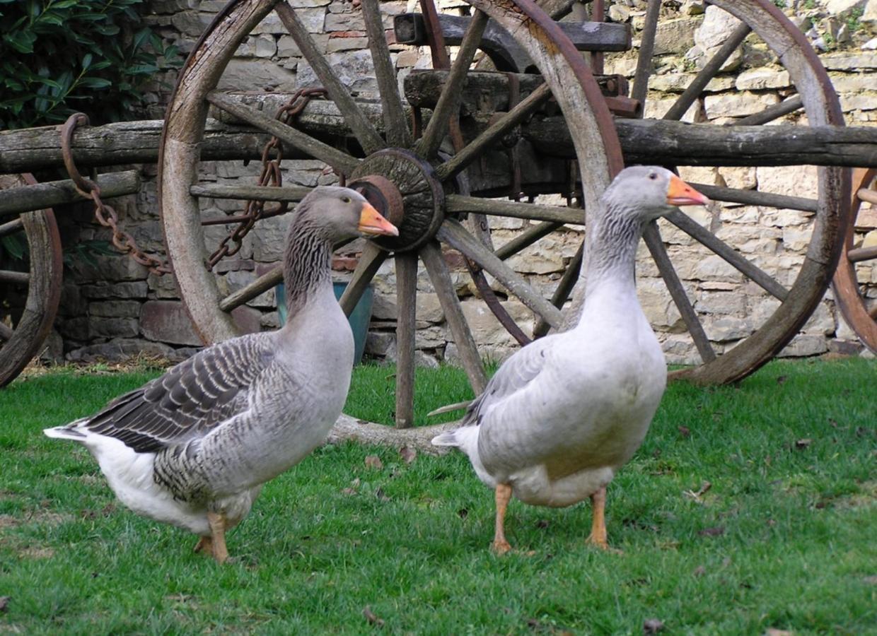 Appartamento La Ferme De Marie Rangen Esterno foto