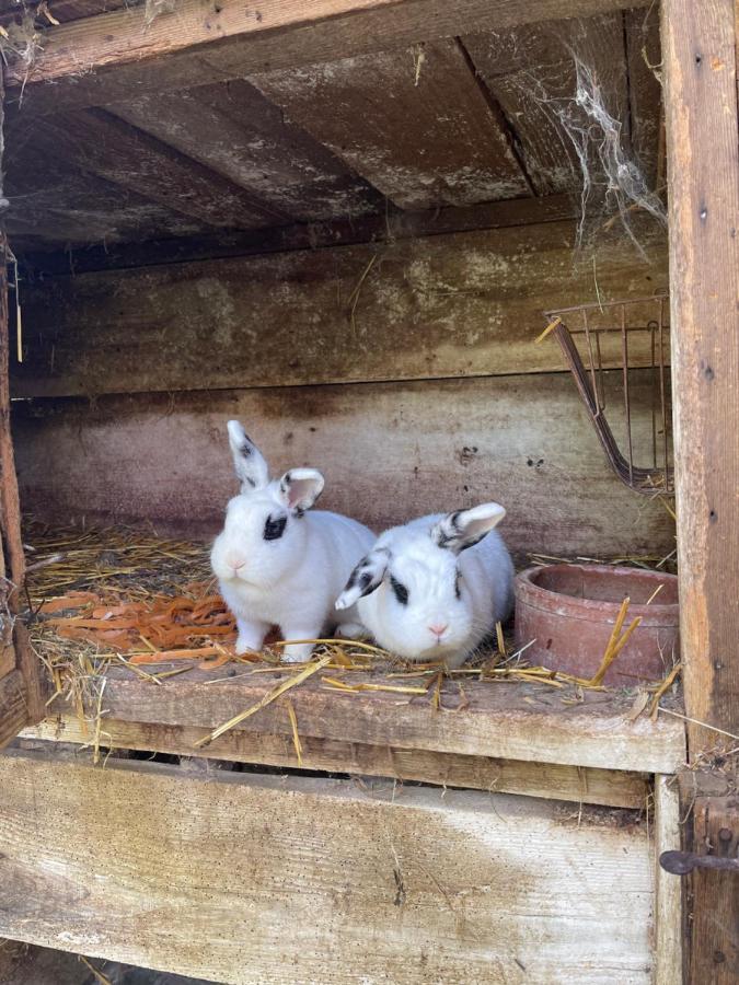 Appartamento La Ferme De Marie Rangen Esterno foto