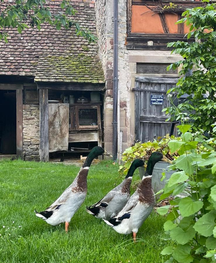 Appartamento La Ferme De Marie Rangen Esterno foto