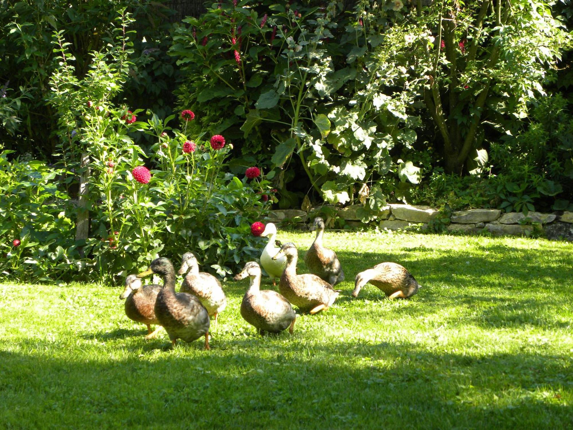 Appartamento La Ferme De Marie Rangen Esterno foto