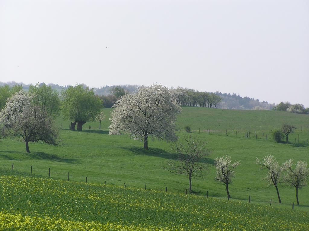 Appartamento La Ferme De Marie Rangen Esterno foto