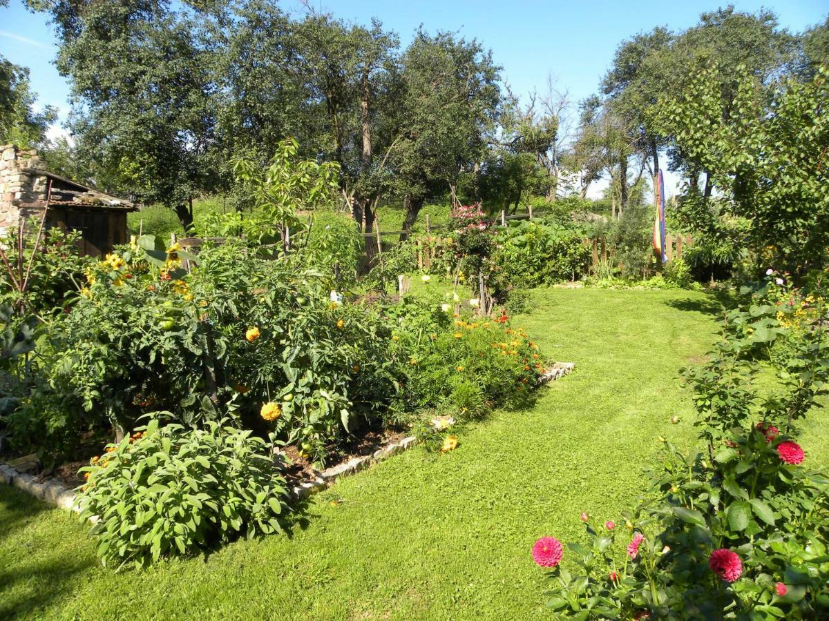 Appartamento La Ferme De Marie Rangen Esterno foto